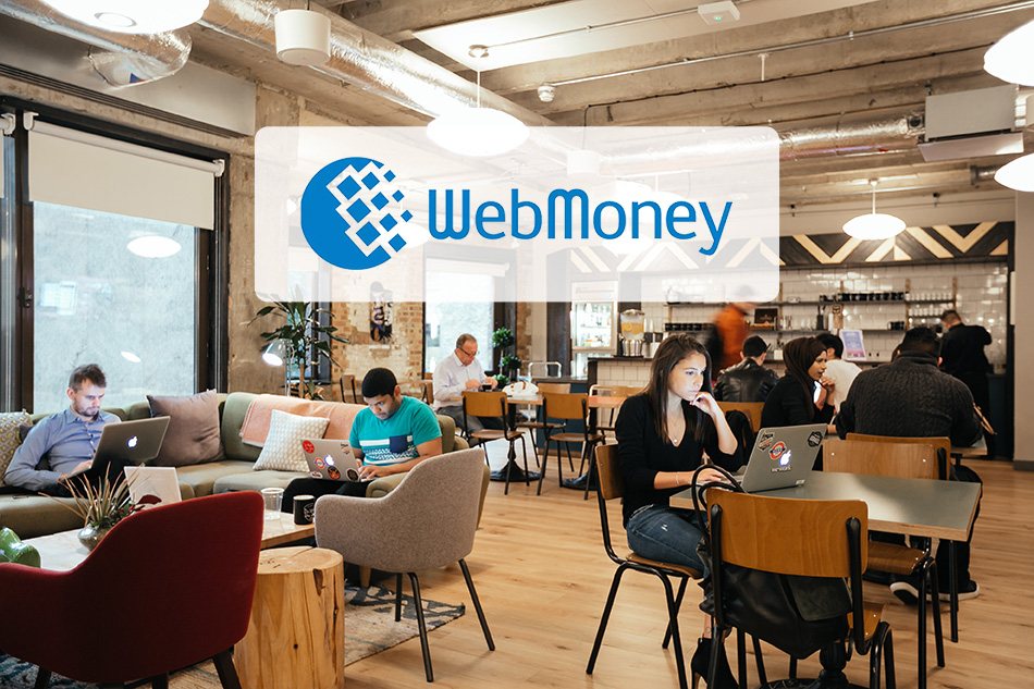انواع درگاه وب مانی (Webmoney)