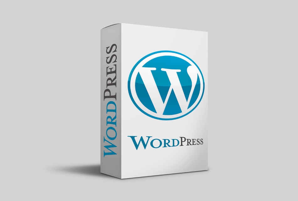 بهترین پلاگین های وردپرس (Word Press)