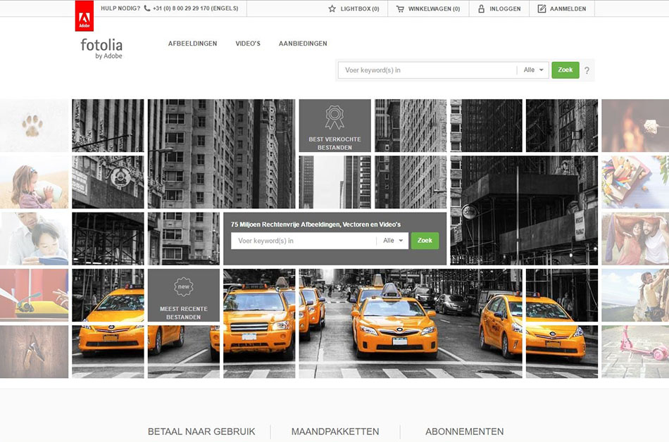 خرید عکس از سایت Fotolia معرفی خدمات این سایت