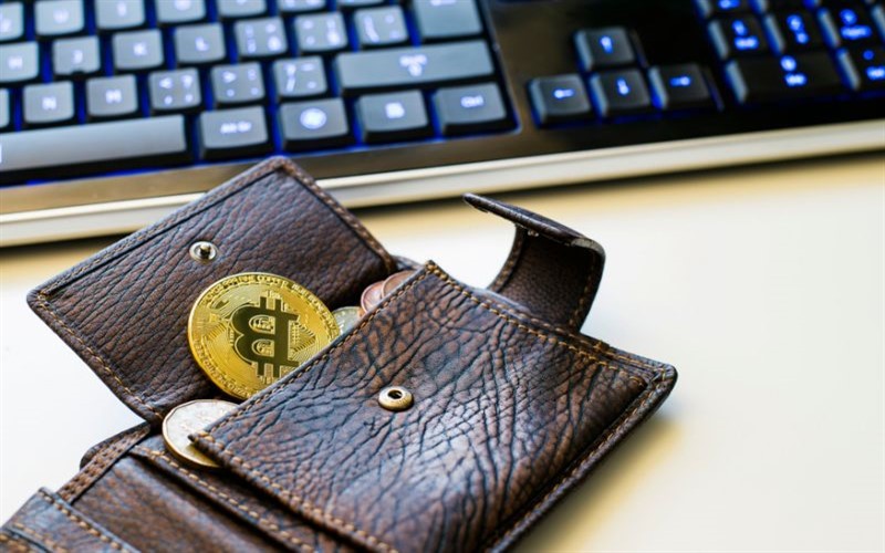 کیف پول های سخت افزاری ارز دیجیتال