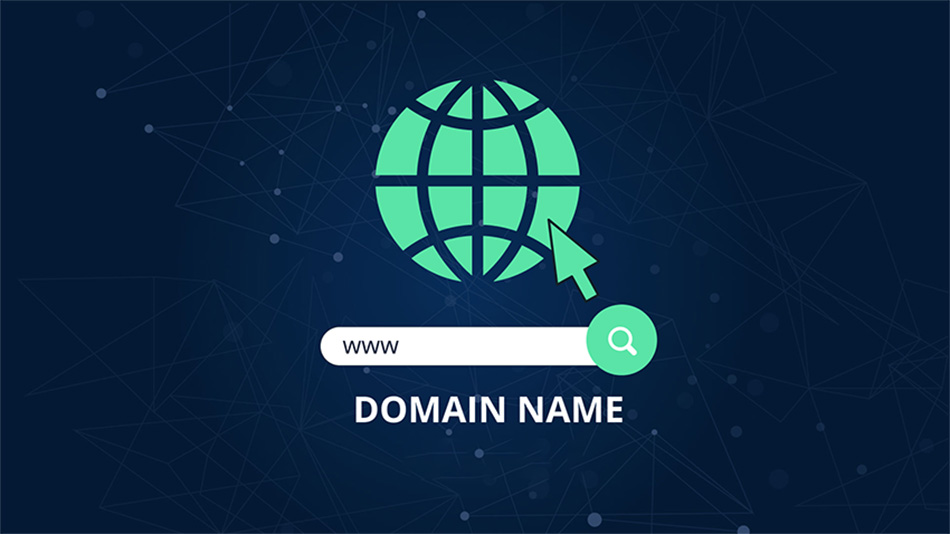 بین نام دامنه و وب هاستینگ وب