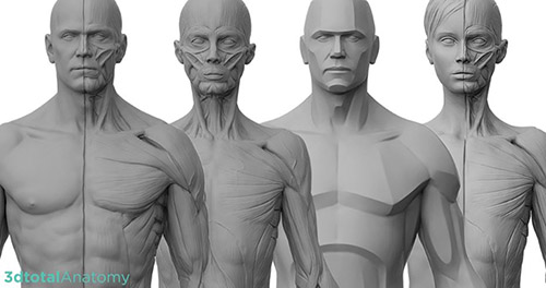 سایت 3dtotal فریلنسری