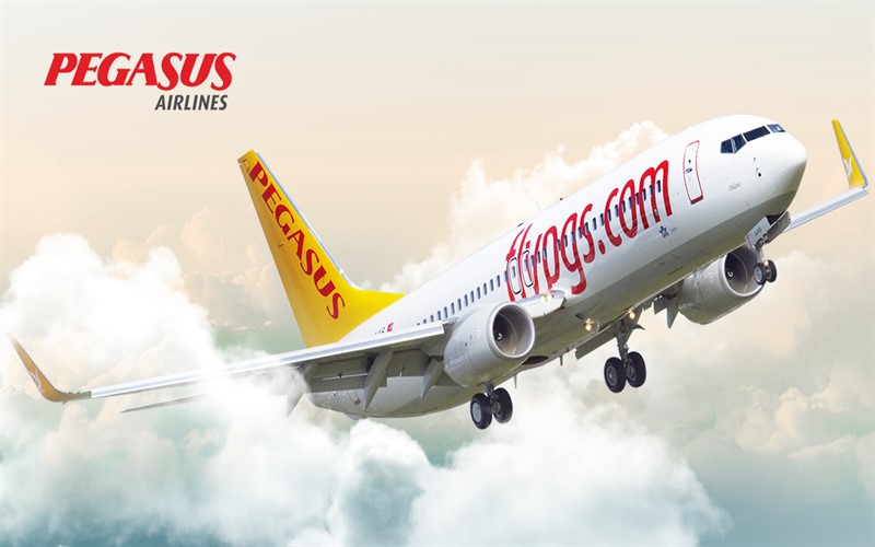 خرید بلیط از پگاسوس (Pegasus)