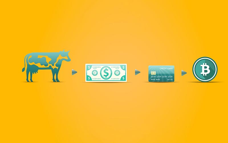 ارتباط فناوری بلاک چین و خدمات مالی