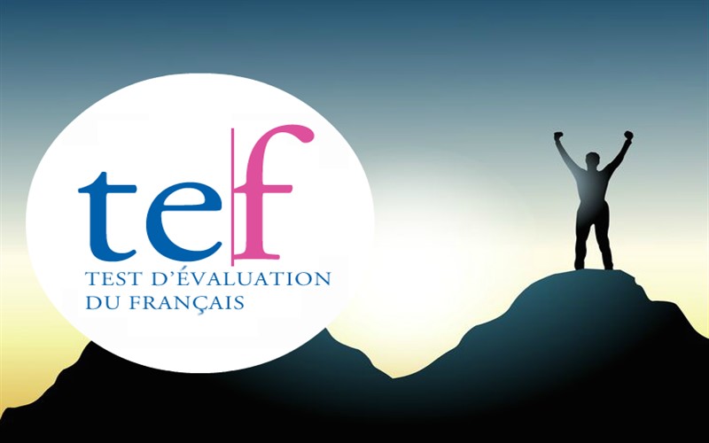 آزمون TEF