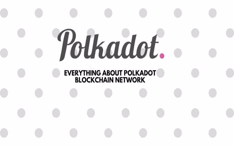 کیف پول پولکادات (polkadot)