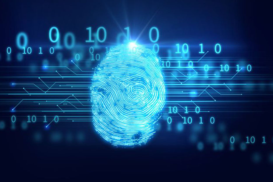 بهترین امنیت صرافی های ارزهای دیجیتال