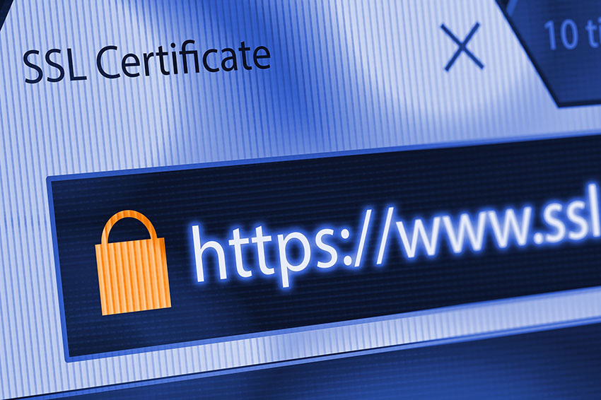 انواع SSL کدام است