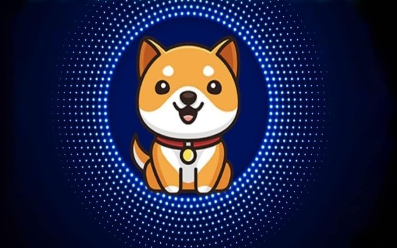 بیبی دوج (Baby Doge)