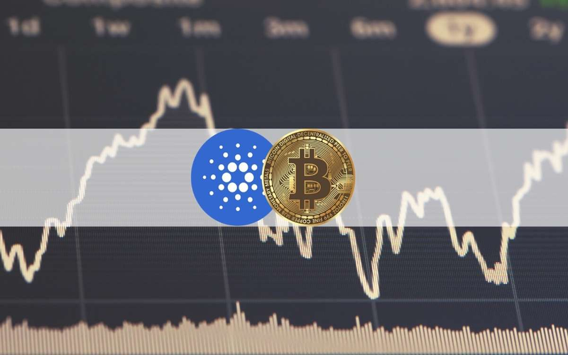 افزایش قیمت ADA
