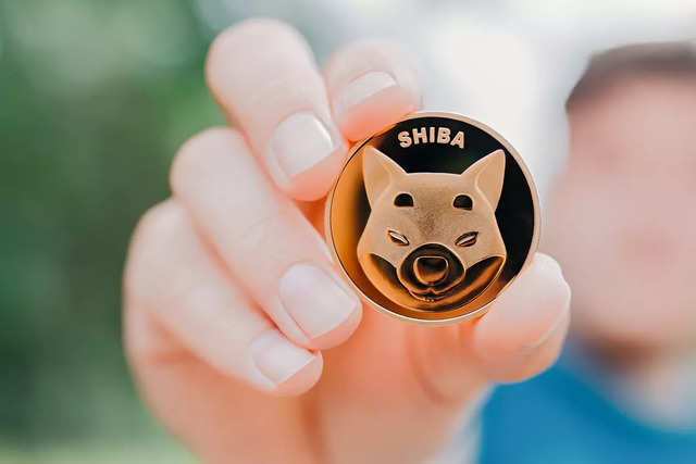 شت کوین (Shitcoin) شت کوین (Shitcoin)