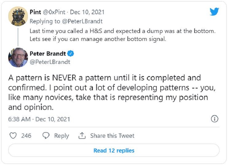 پیتر برنت (Peter Brandt)