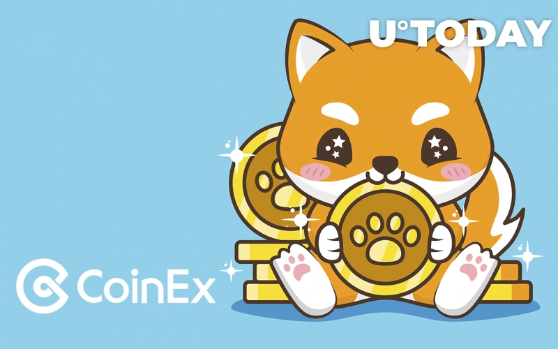بیبی دوج (BabyDoge) در کوینکس
