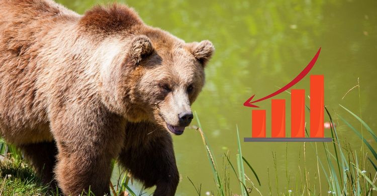 اصطلاحات گاو نر (Bull) و خرس (Bear)