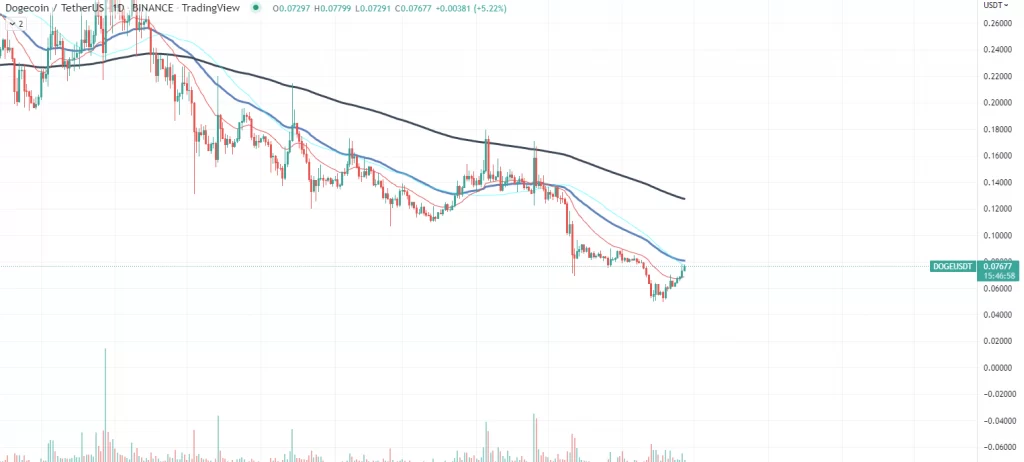 دوج کوین سودآورترین دارایی