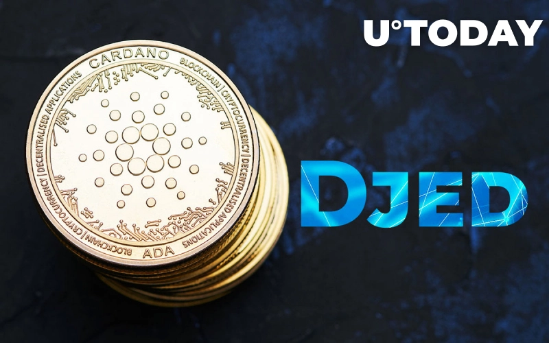 استیبل کوین Djed کاردانو