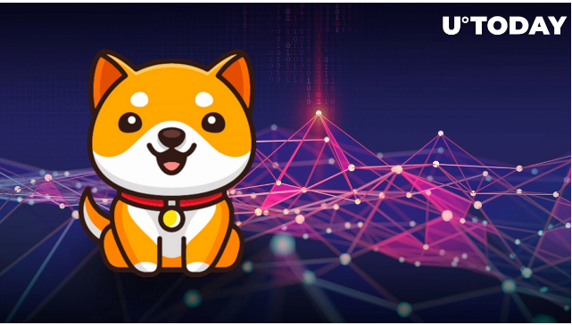 شبکه آزمایشی BabyDoge Swap