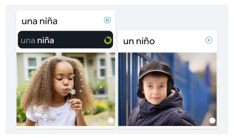 پرداخت در سایت rosettastone