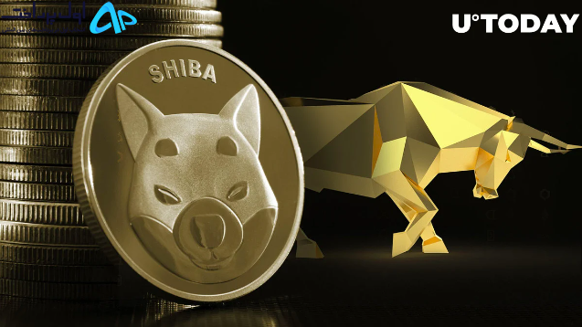 رالی گاوی شیبا 2023
