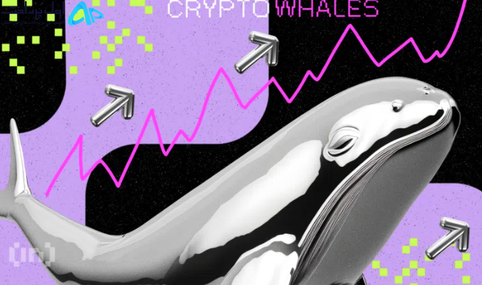 بهترین ارز دیجیتال تیرماه ۱۴۰۲