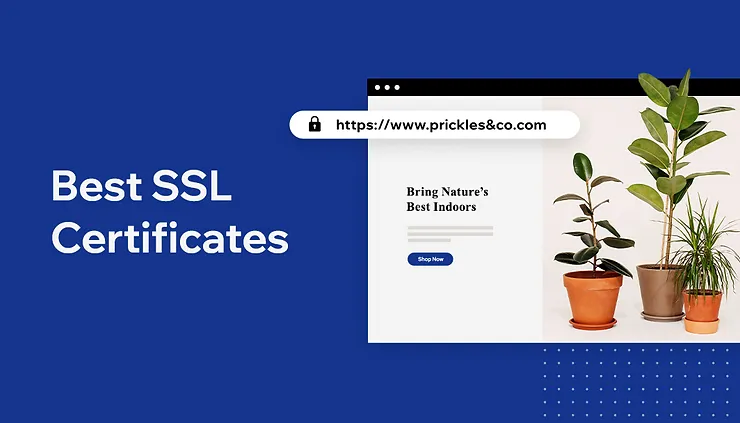 ارائه دهنده گواهی SSL