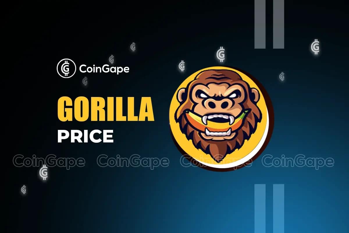 تحلیل قیمت گوریل (GORILLA) خرداد ۱۴۰۳